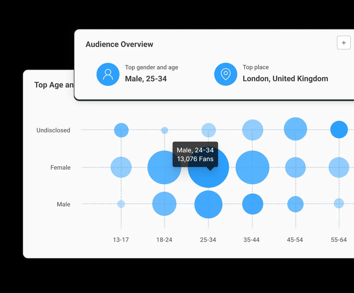 Buffer audience insights view and audience overview including top gender, age, and place with heatmap charts for audience distribution.